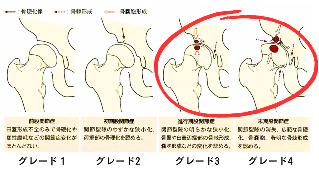 次に何が起こるでしょうか?